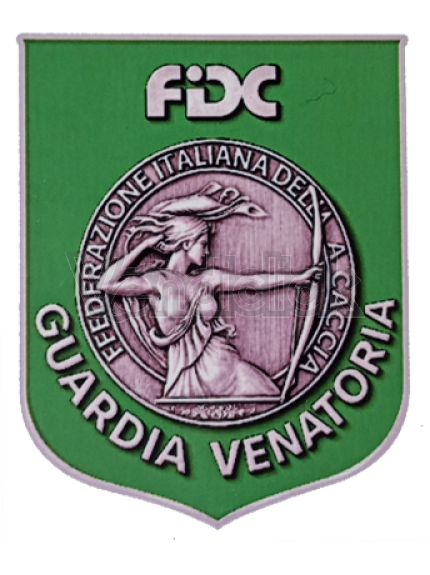  Spilla Fregio in metallo
