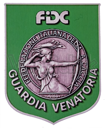 Spilla Fregio in metallo