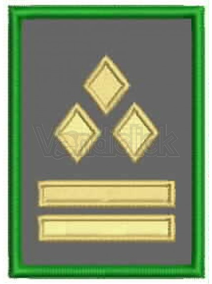 Gradi guardia ambientale 